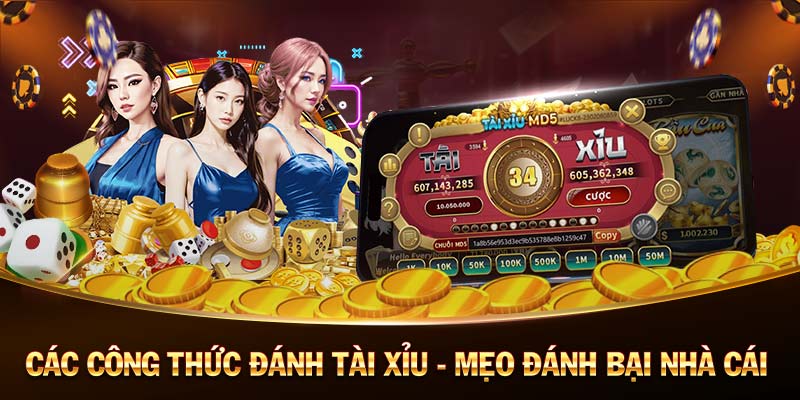 Tý Bối ｜ Tyboi88 - App Nổ Hũ trực tuyến miễn phí